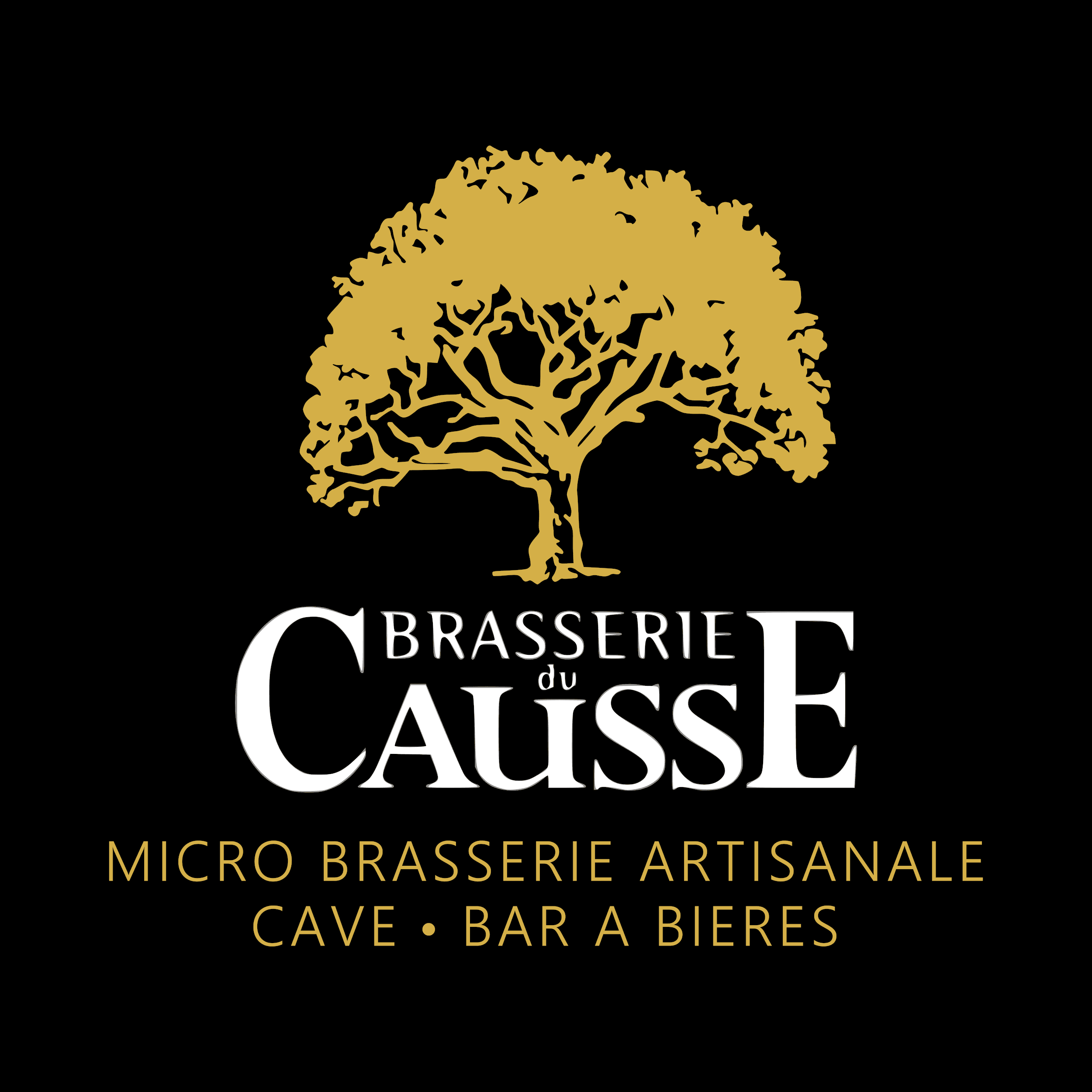 breweries/3d5e0371-4d0f-48a9-968f-551188303ce6/brasserie-du-causse-sLsQdeeKfnkO7WW6rc4scFODjpZI4L.png