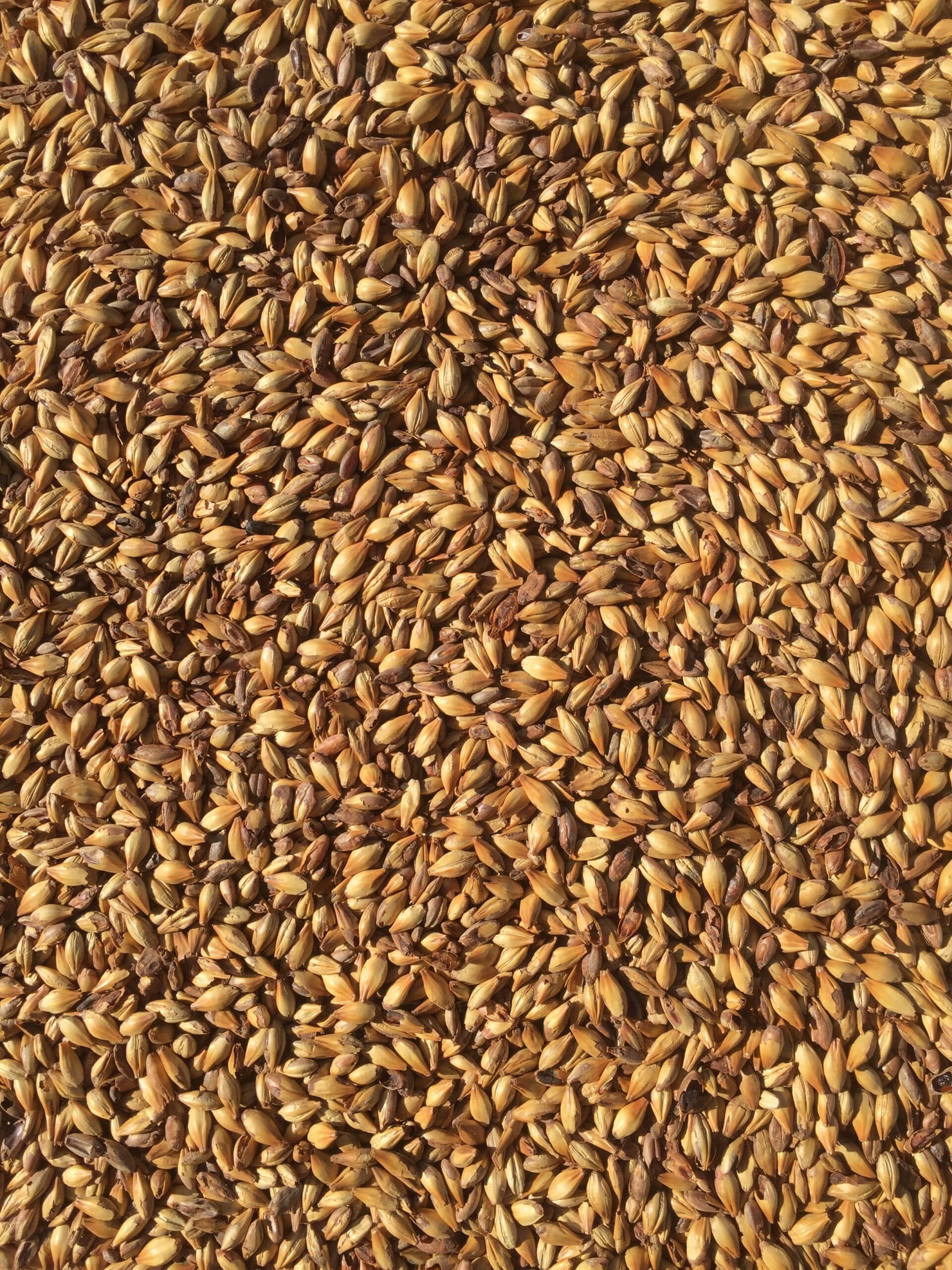 breweries/65512dc5-7731-4f24-b583-8c8d7d5a204d/brasserie-des-roches-C4oOeNBCDcio41VJVEeH606VaJjqKh.jpg