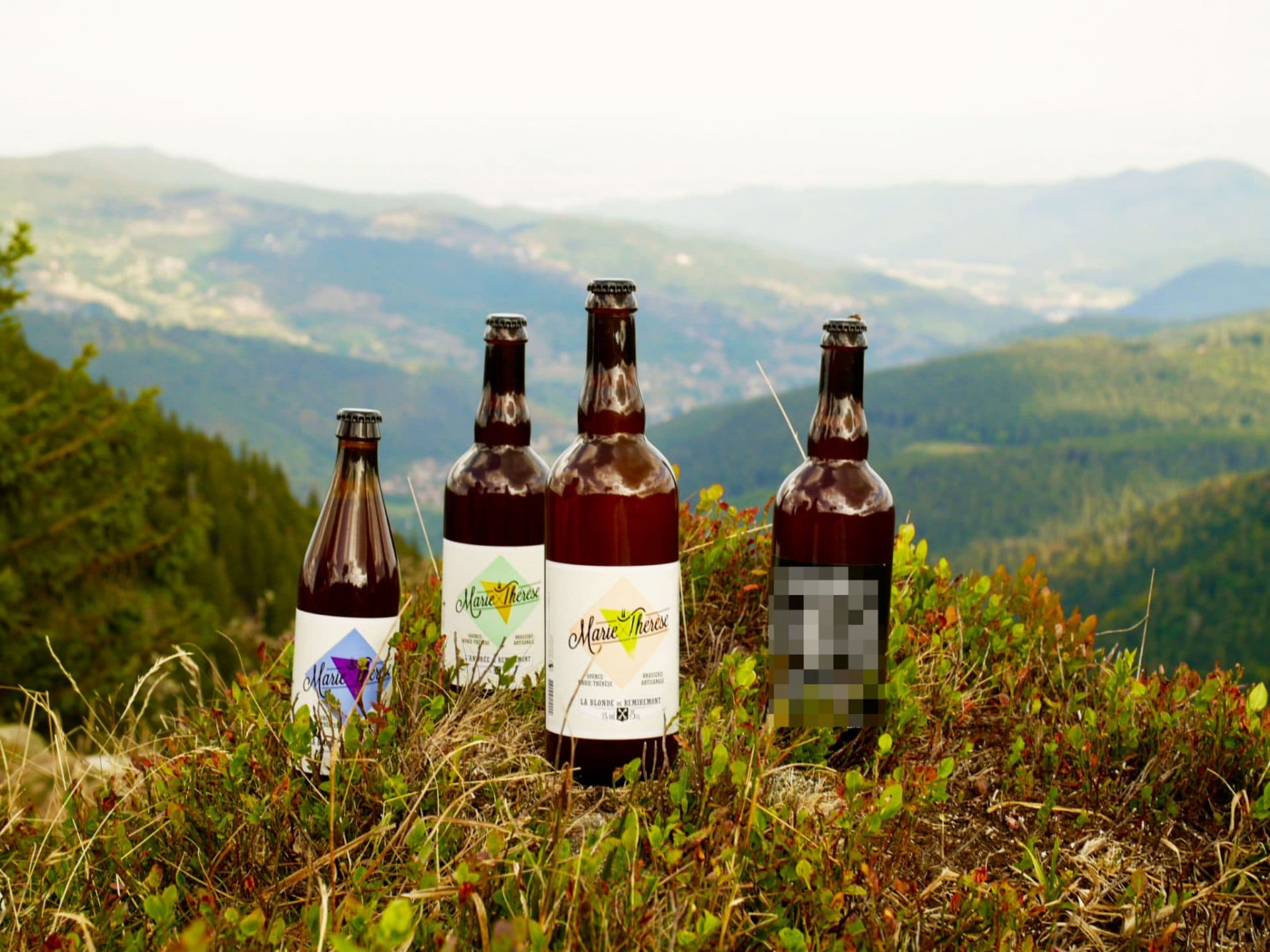 breweries/8092b558-afa5-4fc6-a4c5-e0022d293645/marie-therese-x6wWSMRJtZiXa88yU5Dylk2ppNZAjp.jpg