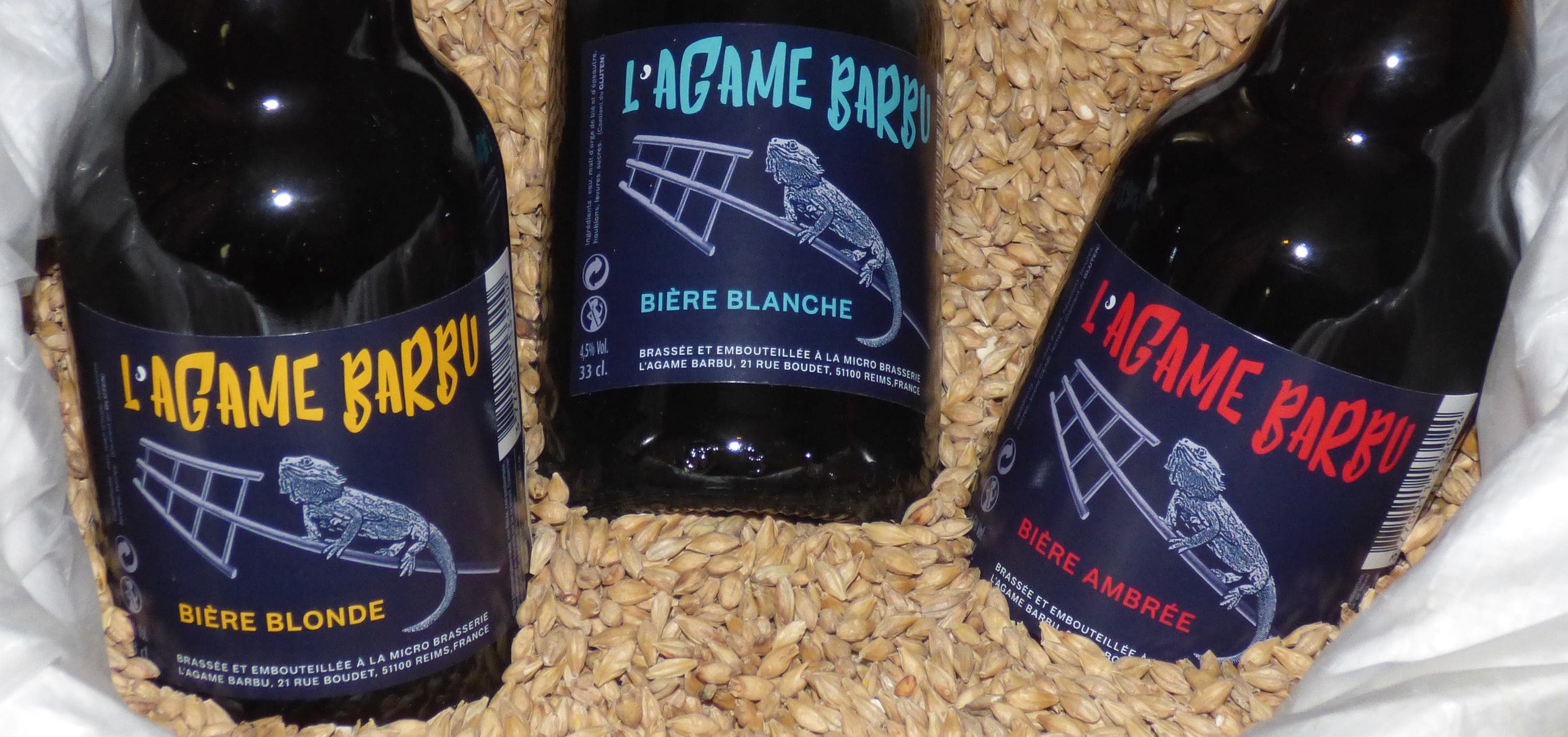 breweries/d3f87a99-e099-4133-866d-055c3792f2c0/l-agame-barbu-0Qvgfqz957NzBcRG1Ao3HEGI3RPVOx.jpg
